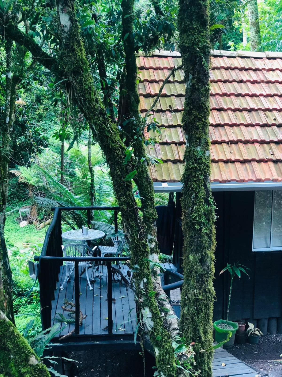 Little Cabana Com Hidromassagem Campos do Jordão Exterior foto